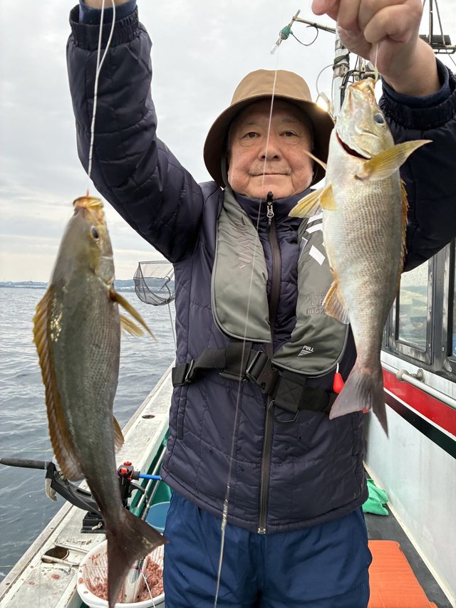 イサギ(イサキ)