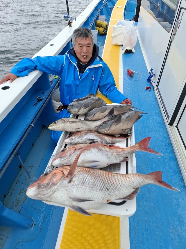 マダイ・クロダイ・メジナ