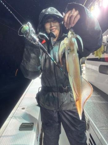 マイカ(ケンサキイカ)