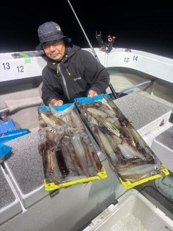 ムギイカ(スルメイカ)