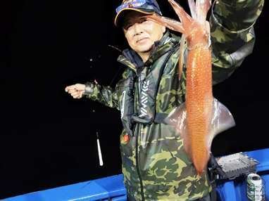 マイカ(ケンサキイカ)