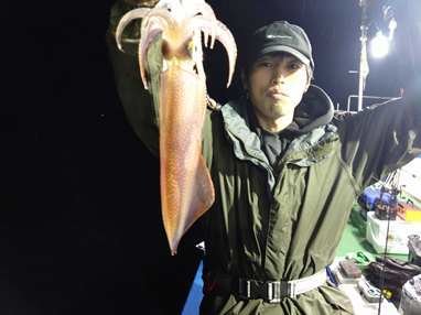 マイカ(ケンサキイカ)