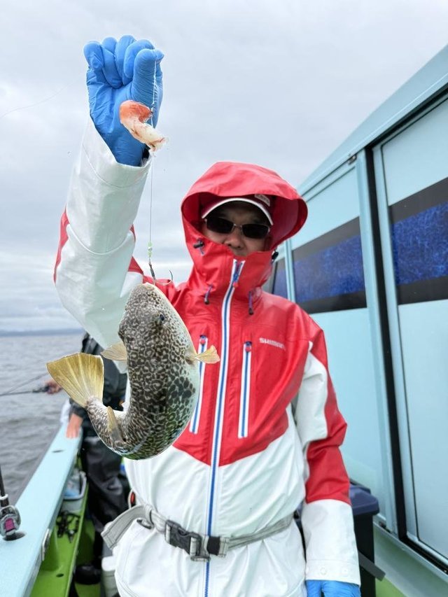 フグ(ショウサイフグ)