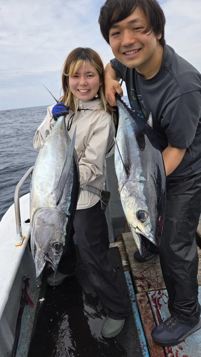 トンボ(ビンナガ)