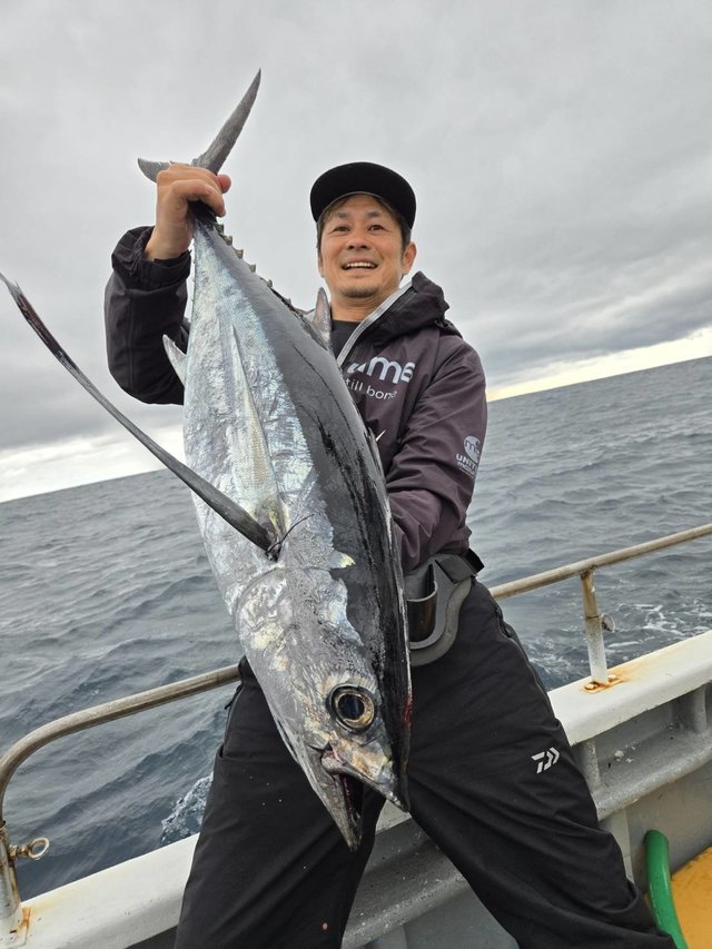 トンボ(ビンナガ)