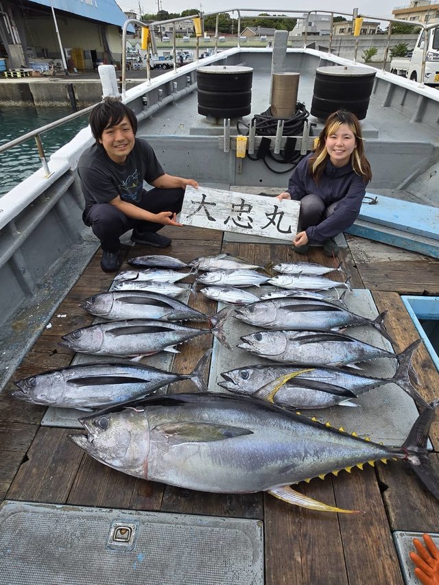 トンボ(ビンナガ)・キハダ・カツオ