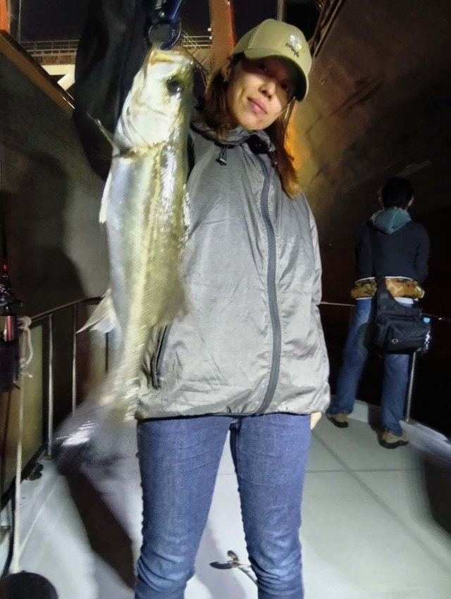 シーバス(スズキ)