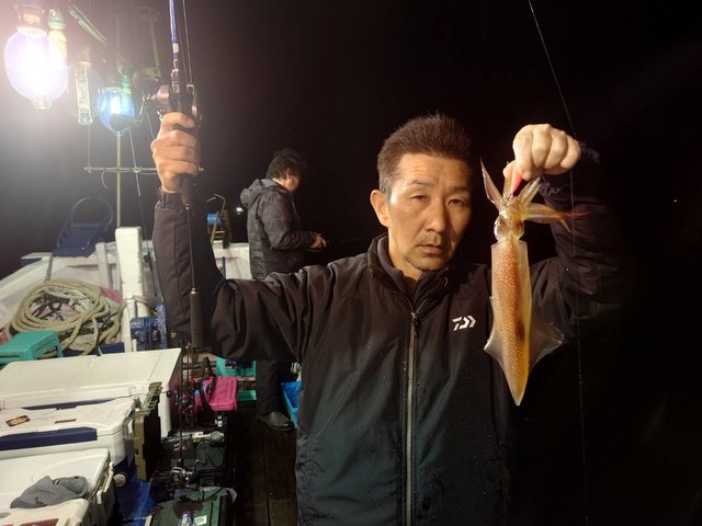 マイカ(ケンサキイカ)