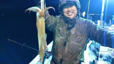 マイカ(ケンサキイカ)