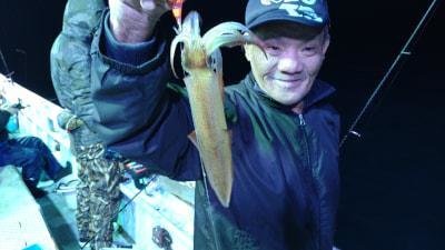 マイカ(ケンサキイカ)