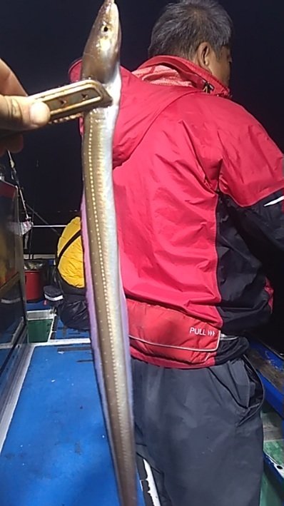 アナゴ(マアナゴ)