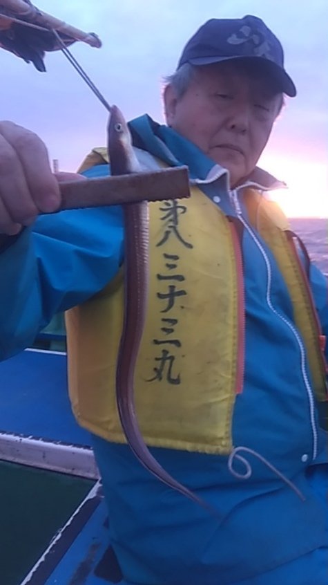 アナゴ(マアナゴ)