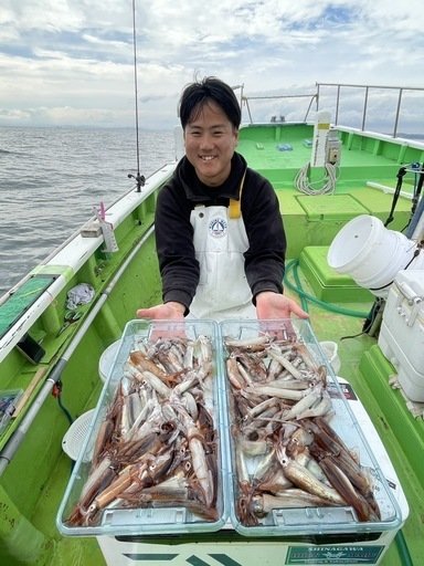 ムギイカ(スルメイカ)