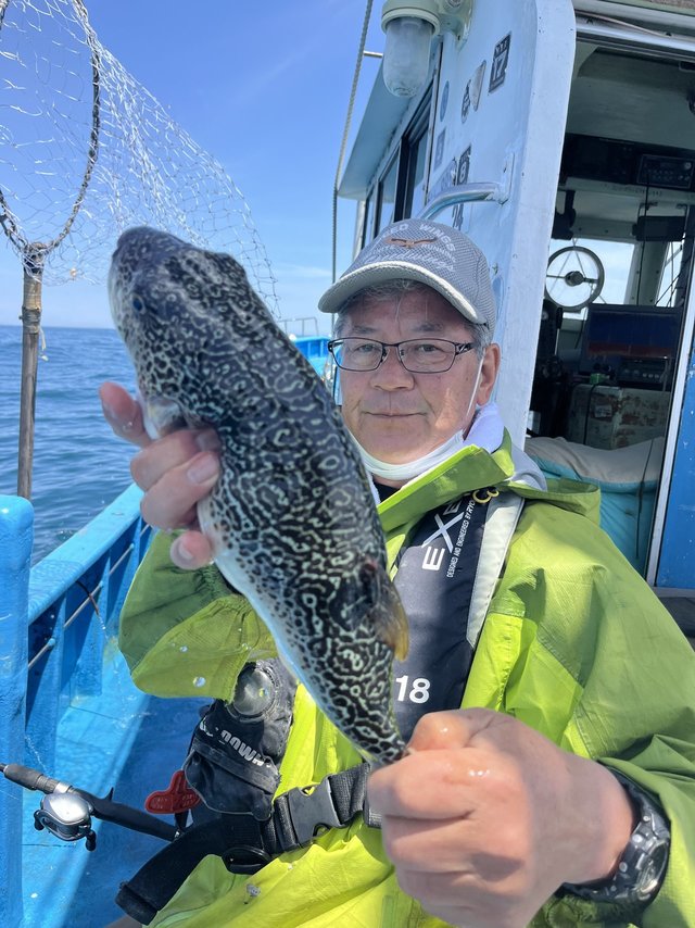 フグ(ショウサイフグ)