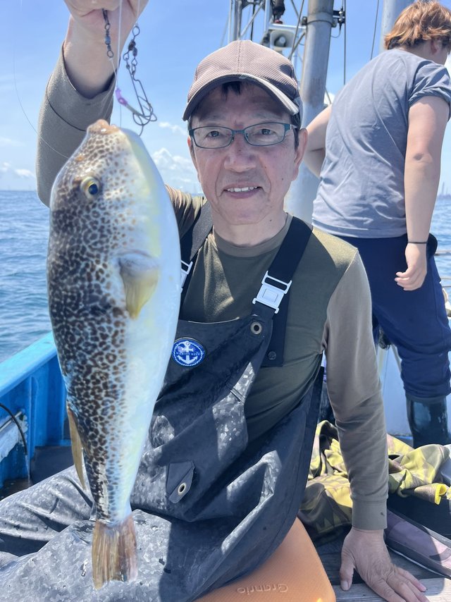 フグ(ショウサイフグ)