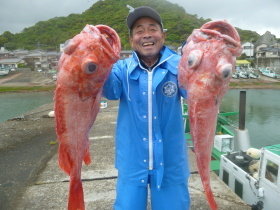 ベニアコウ(オオサガ)