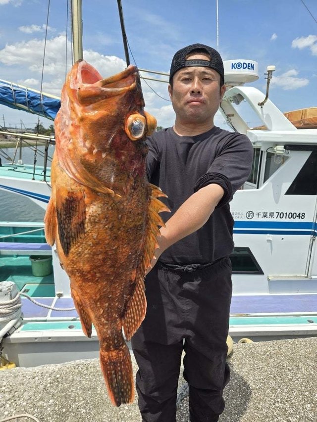 ウッカリカサゴ