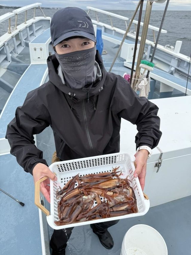 ムギイカ(スルメイカ)