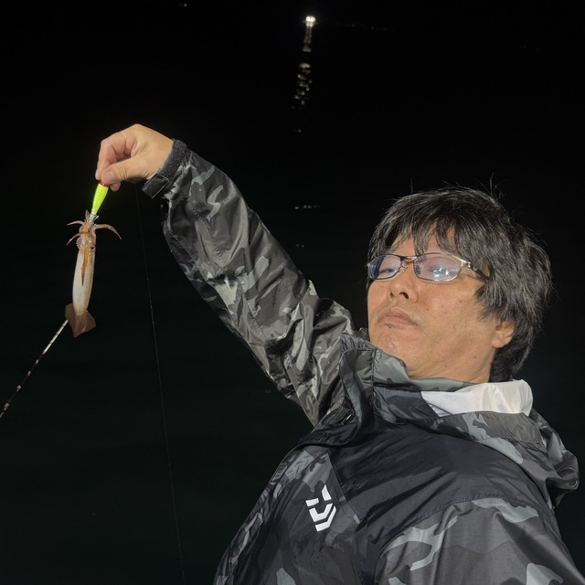 ムギイカ(スルメイカ)