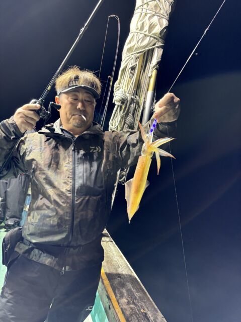 マイカ(ケンサキイカ)