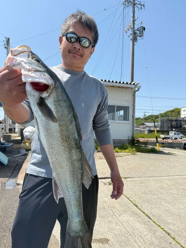 シーバス(スズキ)