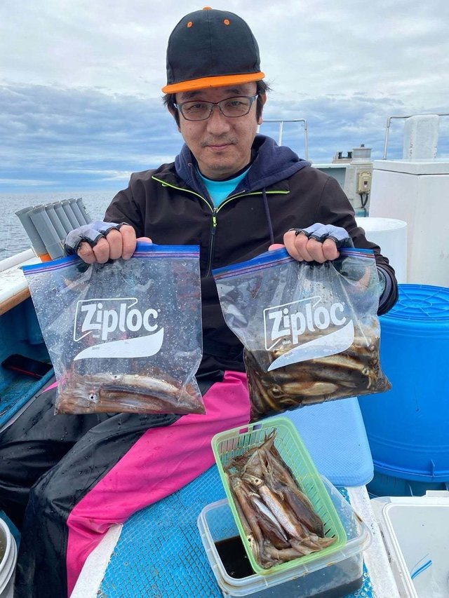 ムギイカ(スルメイカ)