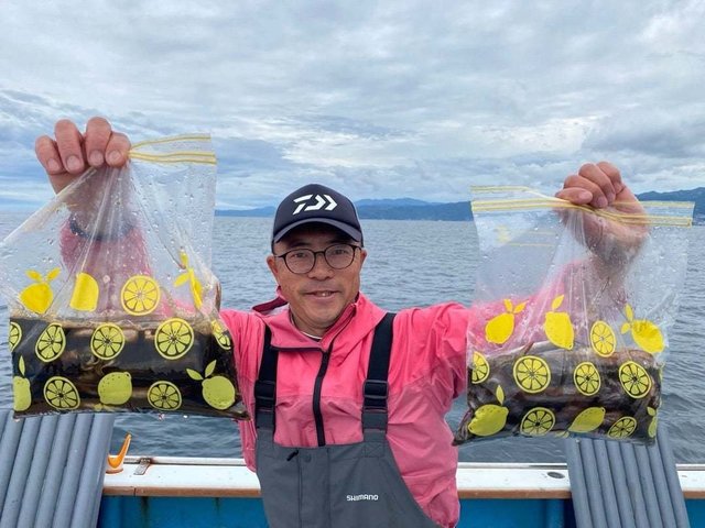 ムギイカ(スルメイカ)