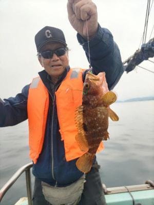 アコウ(キジハタ)