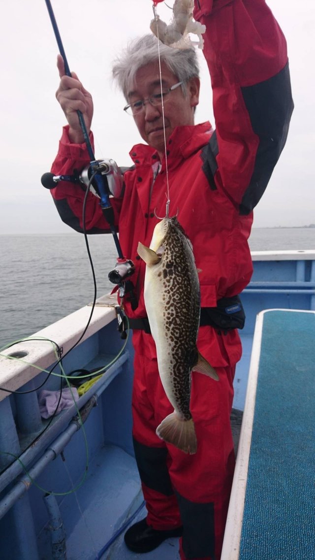 ショウサイフグ