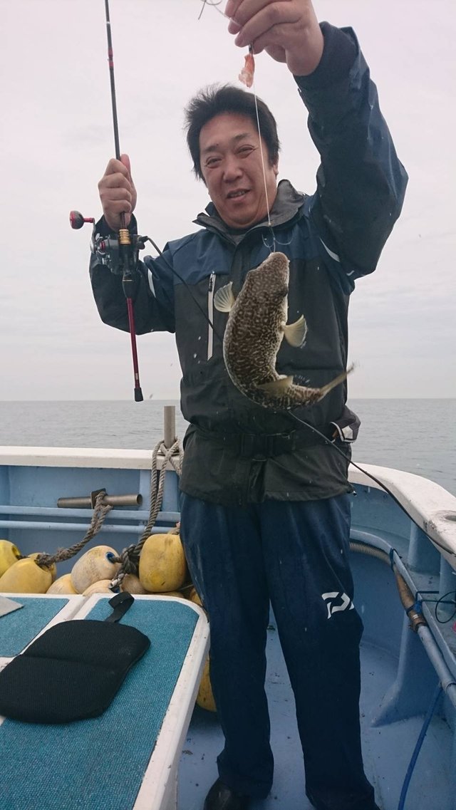 ショウサイフグ