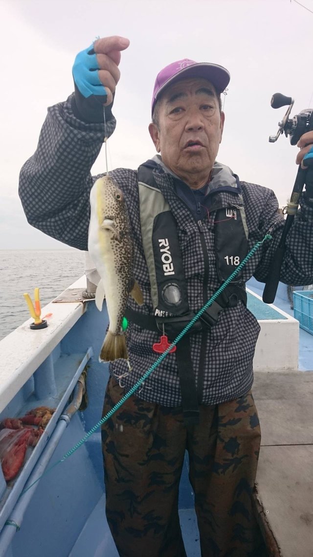 ショウサイフグ