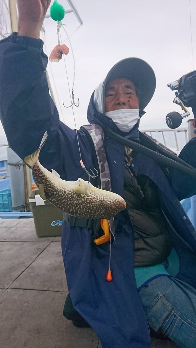 ショウサイフグ