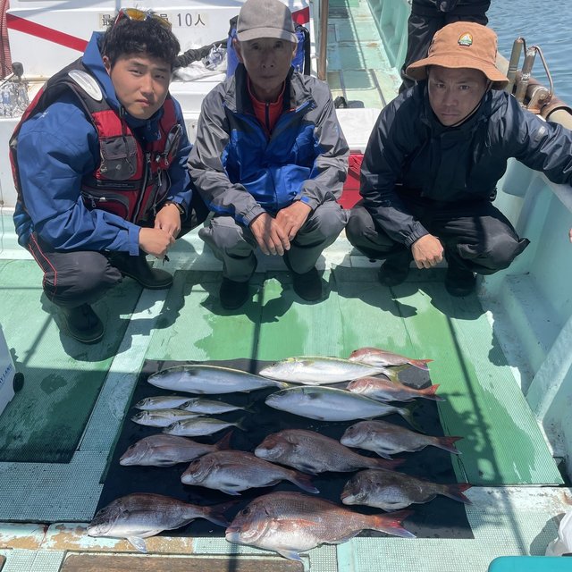 マダイ・マアジ・ハマチ(ブリ)