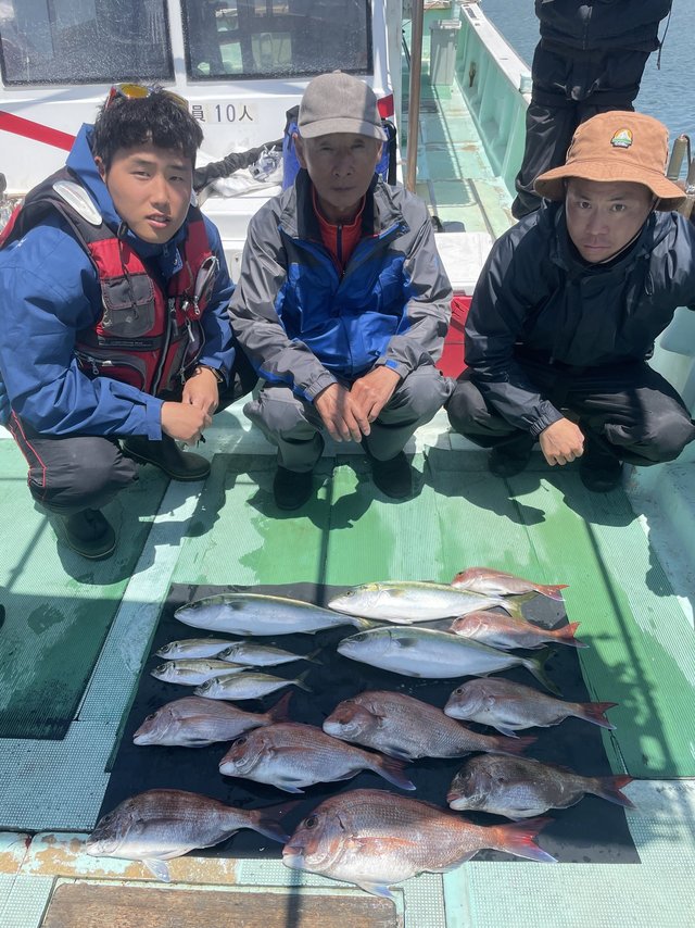 マダイ・マアジ・ハマチ(ブリ)