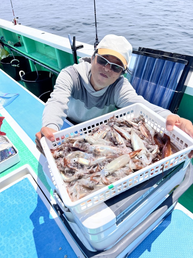 マルイカ(ケンサキイカ)