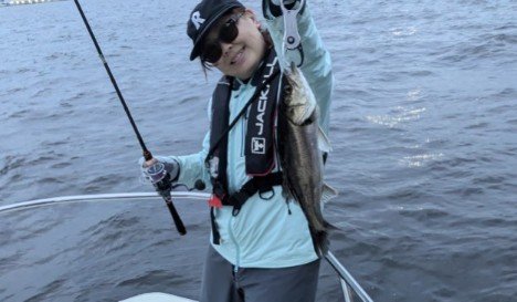 シーバス(スズキ)