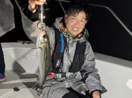 シーバス(スズキ)