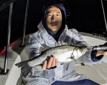 シーバス(スズキ)