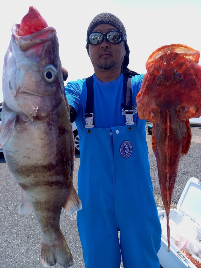 アラ・オニカサゴ