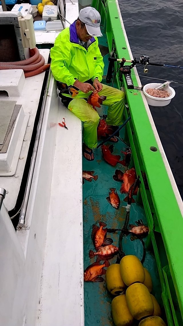 チカメキントキ