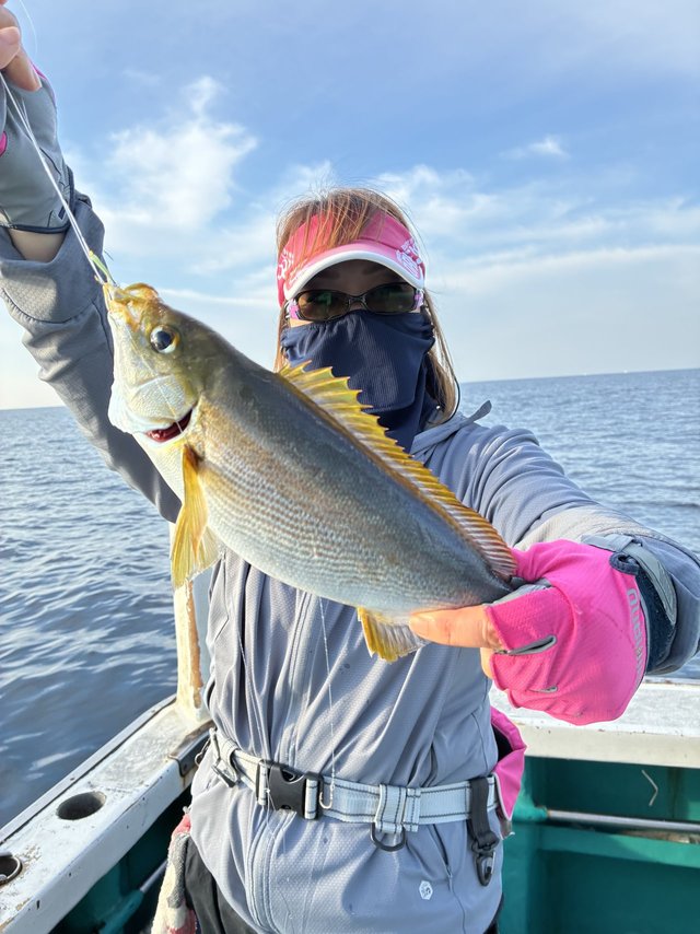 イサギ(イサキ)