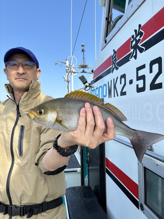 イサギ(イサキ)