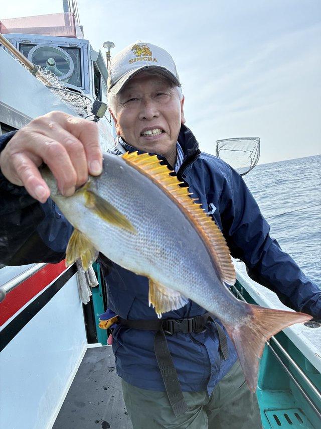 イサギ(イサキ)