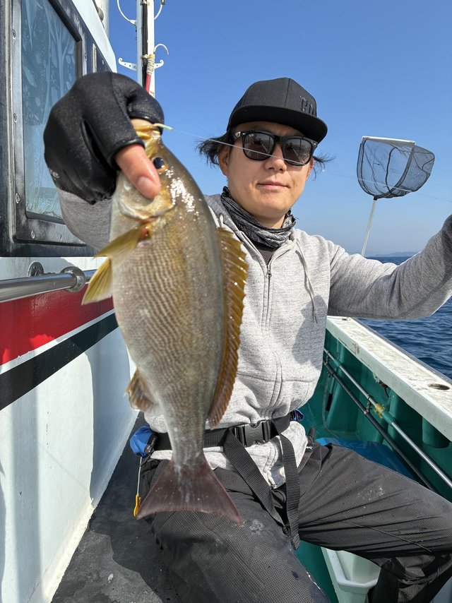 イサギ(イサキ)