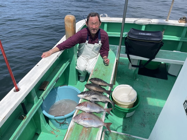 マダイ・クロダイ・メジナ