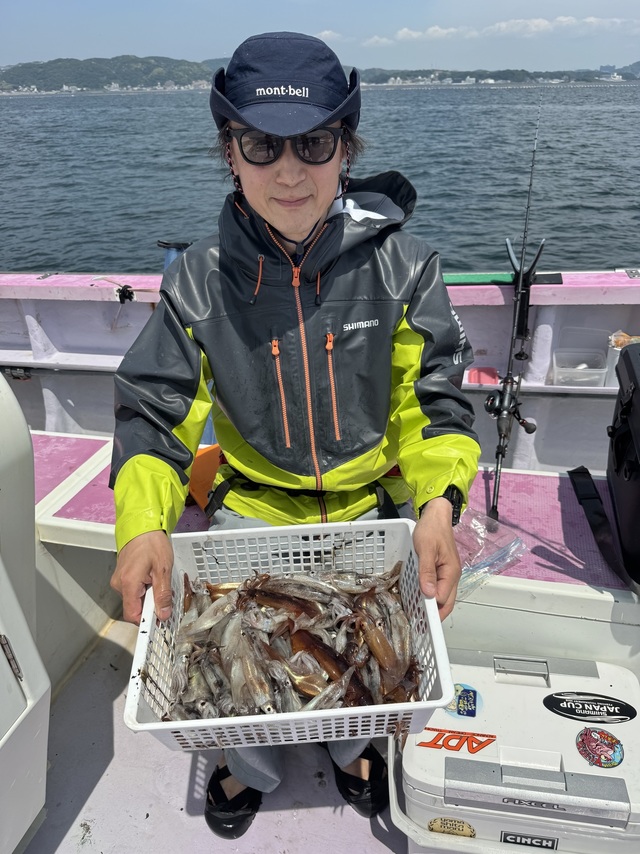 ムギイカ(スルメイカ)