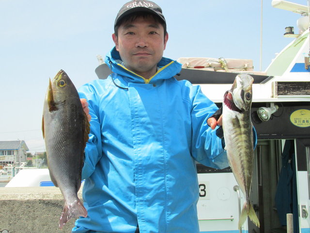 アジ(マアジ)・イサキ