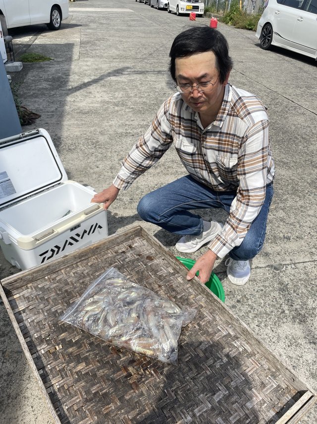 ムギイカ(スルメイカ)