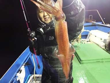 マイカ(ケンサキイカ)