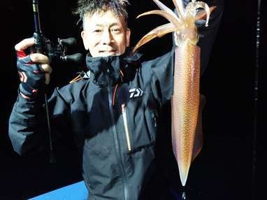 マイカ(ケンサキイカ)